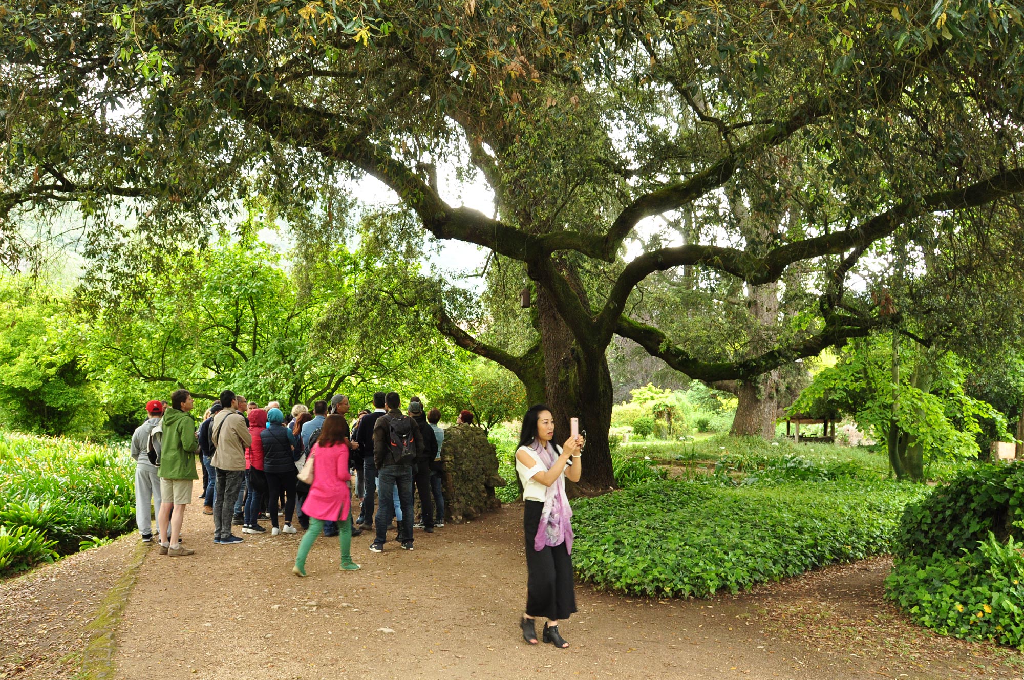 Giardino di Ninfa (Doganella)